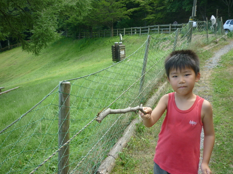 県民の森 (17).JPG